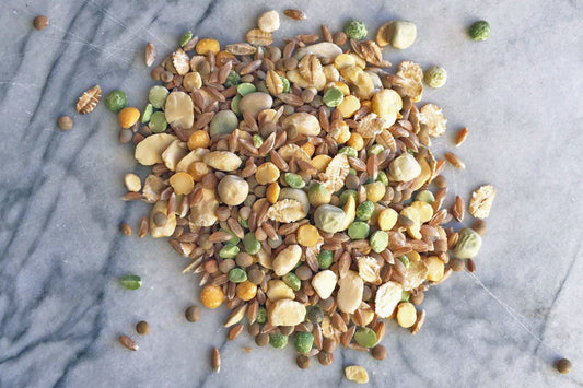 Mix #1 - Broth - Hodmedod's British Pulses & Grains