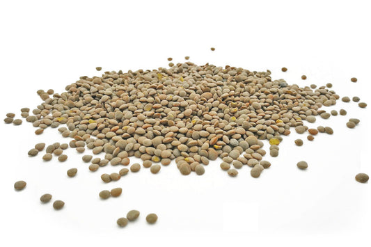 Olive Green Lentils - Hodmedod's British Pulses & Grains