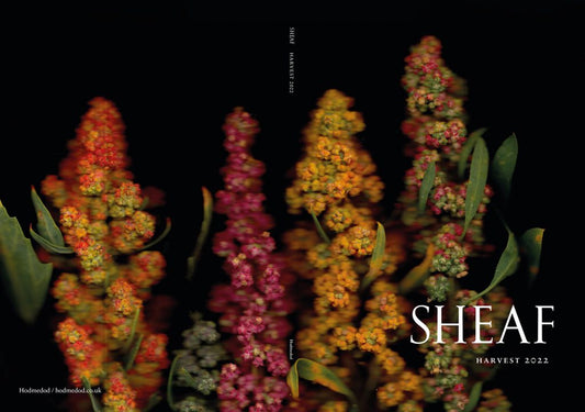 Sheaf: Harvest 2022