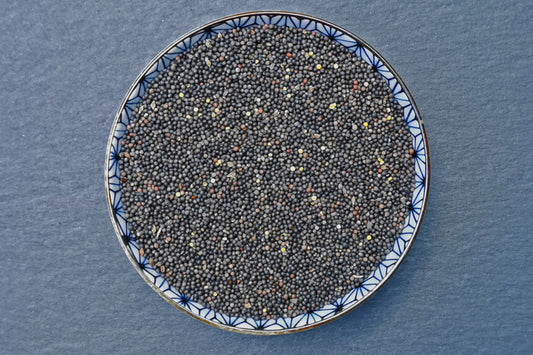 Wild Mustard Seed, Organic - Hodmedod's British Pulses & Grains