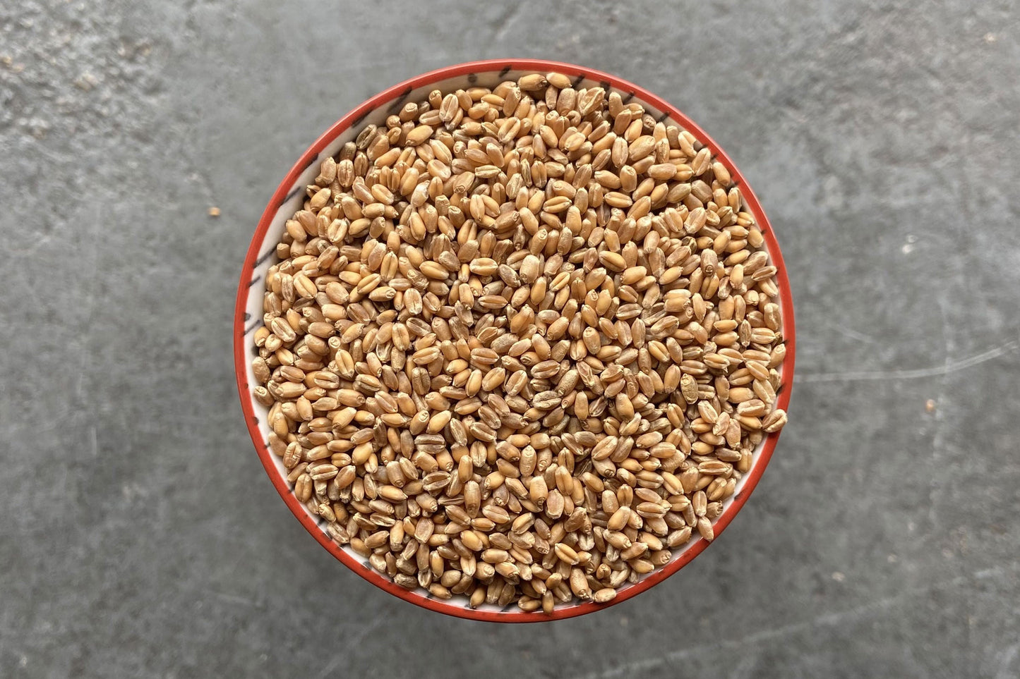 Atle Wheat, Wholegrain