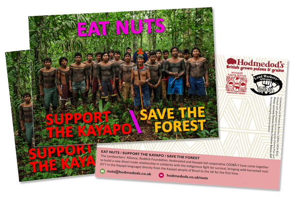 PI'Y Eat Nuts / Support the Kayapo Cards