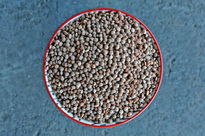 Whole Olive Green Lentils