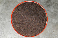 Red Poppy Seeds, Organic