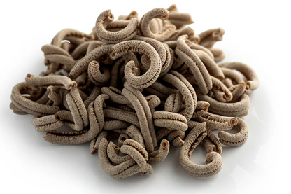 Spelt Casarecce, Wholegrain, Organic