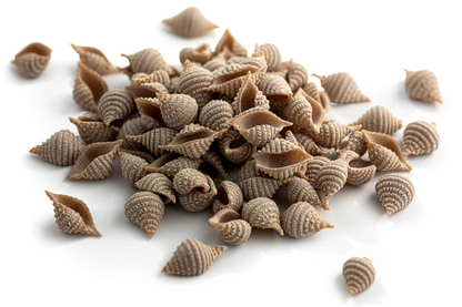 Spelt Conchiglie, Wholegrain, Organic