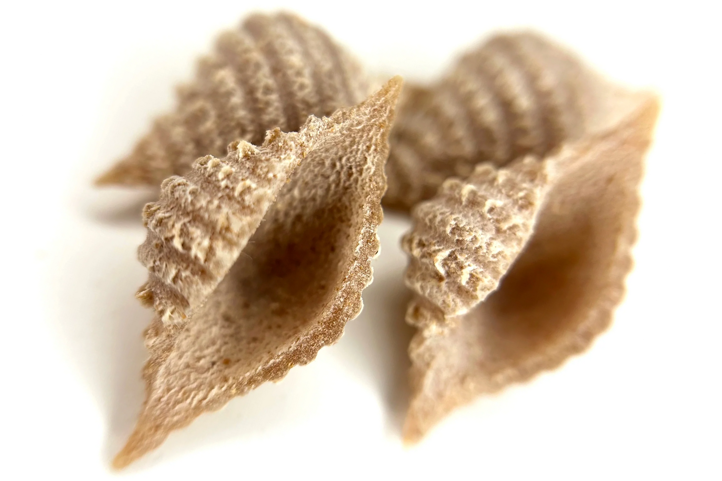 Spelt Conchiglie, Wholegrain, Organic