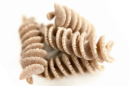 Spelt Fusilli, Wholegrain, Organic