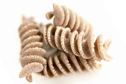 Spelt Fusilli, Wholegrain, Organic