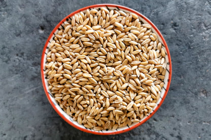 Spelt, Organic Wholegrain