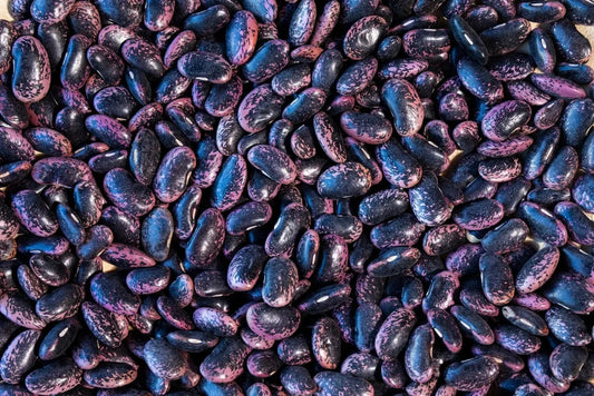 Scarlet Runner Beans from North America