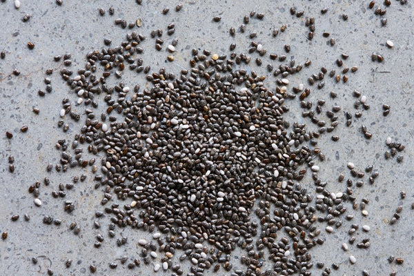 British Chia Seed - Hodmedod's British Pulses & Grains