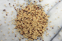 British Red and White Quinoa - Hodmedod's British Pulses & Grains