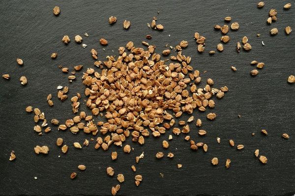 Malted Wheat Flakes, Organic - Hodmedod's British Pulses & Grains