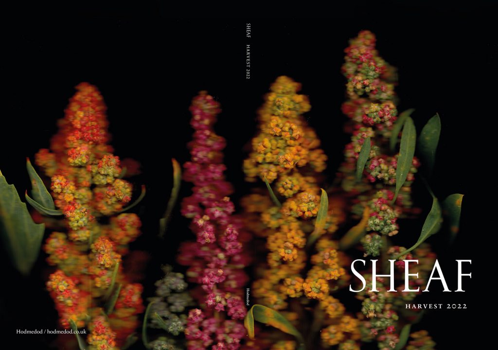 Sheaf: Harvest 2022