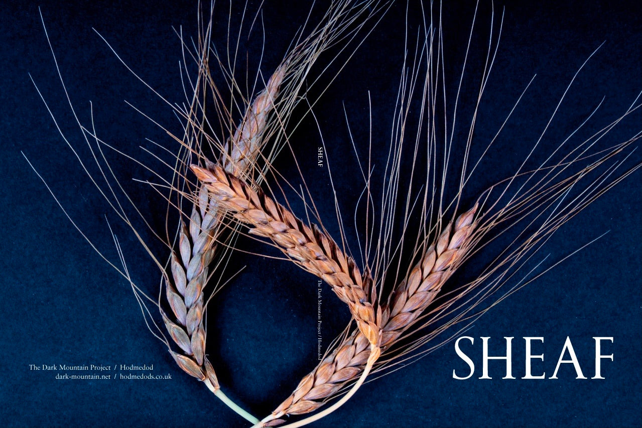 Sheaf: Writers in the Field, Summer 2021