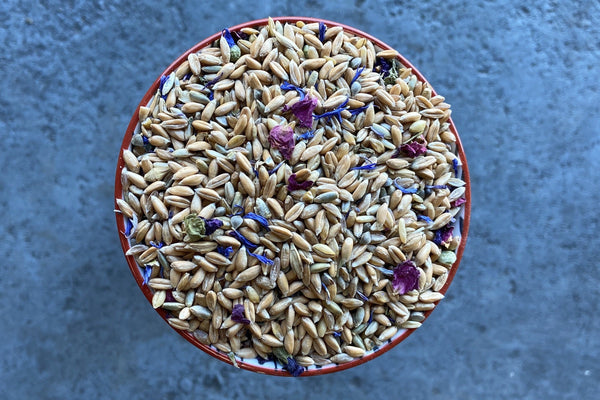 Botanical Blend #2 - Meadow, Grist for milling - Hodmedod's British Pulses & Grains