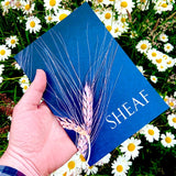 Sheaf: Writers in the Field, Summer 2021