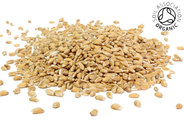 Spelt, Organic Wholegrain - Hodmedod's British Pulses & Grains